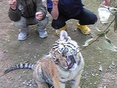 キノネさんのしろとり動物園への投稿写真1