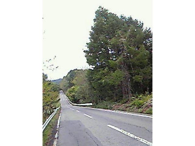 戸隠バードライン