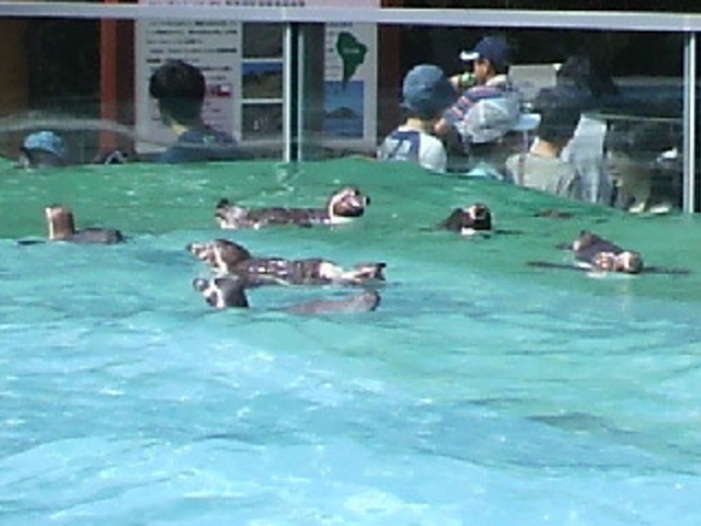 埼玉県こども動物自然公園