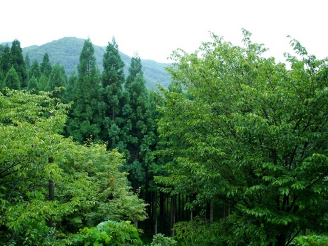 大葛温泉町民浴場