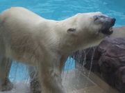 まーちゃんさんの男鹿水族館GAOの投稿写真1