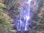 えっちゃんさんの白滝の投稿写真1