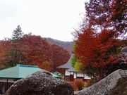 静岡のもみじマークさんの栖雲寺庭園の投稿写真1