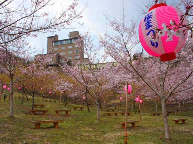 ジャコさんのかみごおりさくら園の投稿写真1