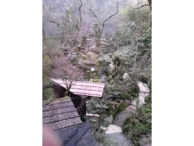 鶴の恩返し よみがえりの宿 鶴霊泉