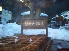 カン君さんのへの投稿写真1