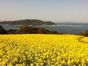 しょーちゃんさんの能古島の投稿写真1