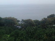 リキさんの湯河原町のみかん狩りの投稿写真1