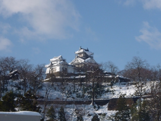 越前大野城