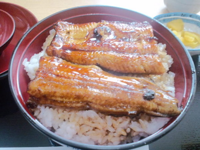 うなぎのかねはち