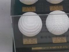 東京ドームの写真1