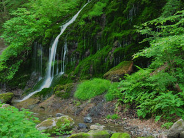 白水の滝