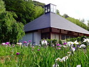 しどーさんの常高寺の投稿写真1