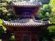 しどーさんの円隆寺の投稿写真1