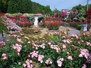 りりぃさんの霊山寺の投稿写真1