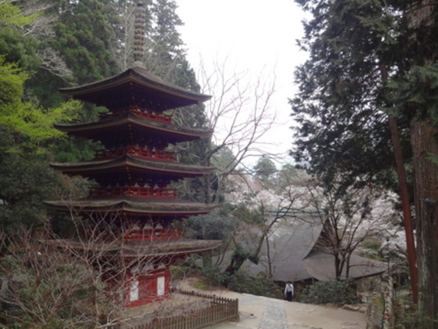 室生寺五重塔