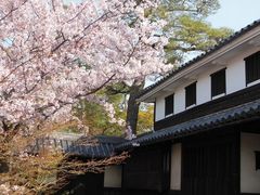 倉敷美観地区の写真1