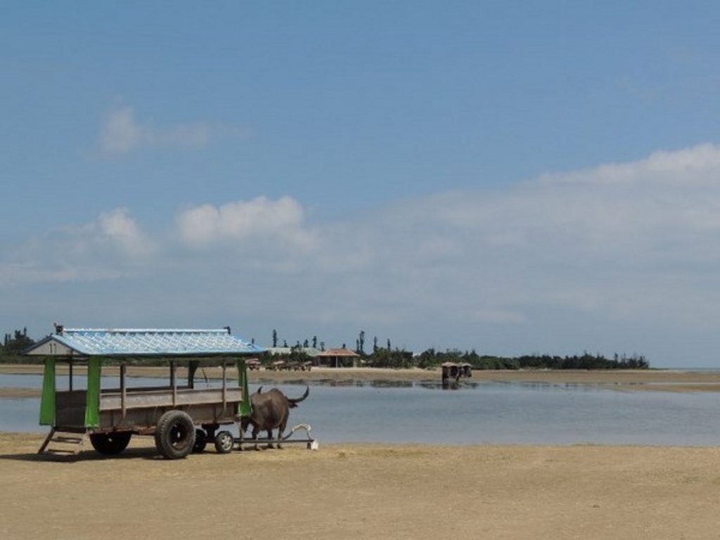 西表島