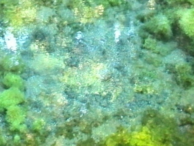 白川水源