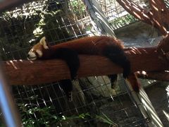 ともこさんの熱川バナナワニ園への投稿写真1