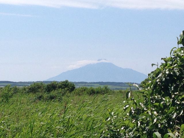利尻富士を望みながらの湿原散策。雄大な風景を楽しみました。レストハウスでの、揚げじゃがセットを是非!_サロベツ原生花園