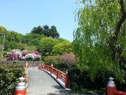スヌ夫さんの勝盛公園の投稿写真1