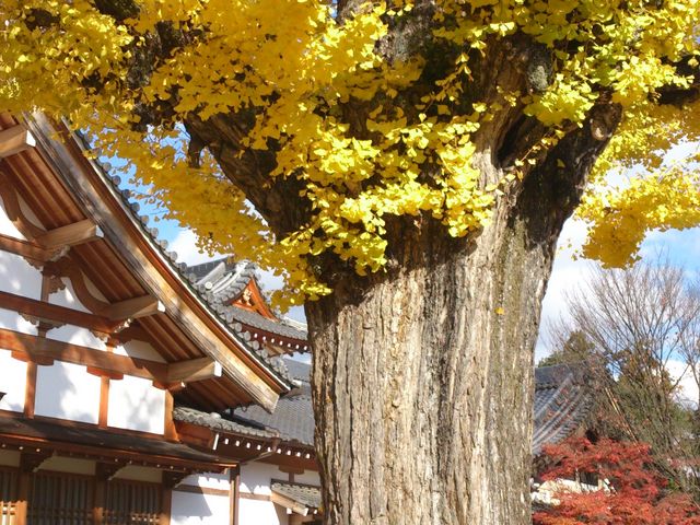 虎渓山永保寺