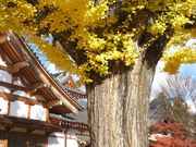 けいさんの虎渓山永保寺の投稿写真1