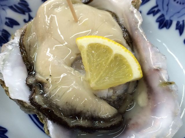 地元の新鮮食材が、その場で味わえます!めっちゃ、美味しい!_舞鶴港とれとれセンター