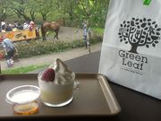 やぁさんさんの原 美術館 ARCの投稿写真2