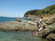 junjunさんの番所庭園の投稿写真2