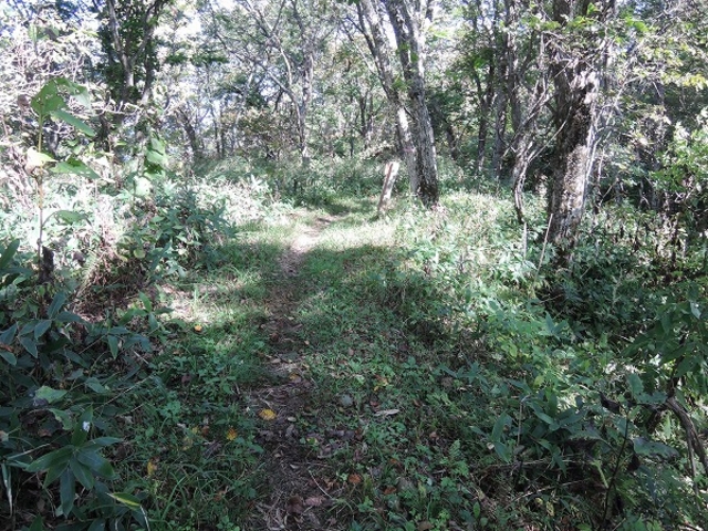 散策路_根室市春国岱原生野鳥公園ネイチャーセンター
