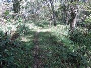 fghdfdさんの根室市春国岱原生野鳥公園ネイチャーセンターの投稿写真2