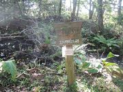 fghdfdさんの根室市春国岱原生野鳥公園ネイチャーセンターの投稿写真3