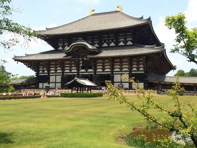 東大寺金堂_東大寺金堂(大仏殿)