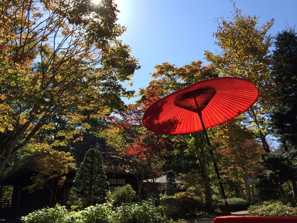 平家の里