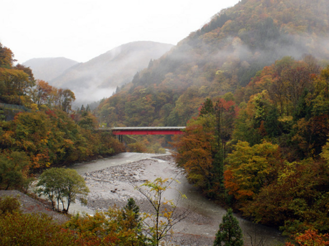 せせらぎ街道の紅葉