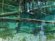 ひろママさんの神の子池の投稿写真1