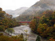 すなねずみさんのせせらぎ街道の紅葉の投稿写真3