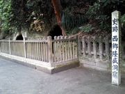 kingtutさんの西郷隆盛銅像の投稿写真3