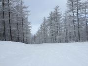 hideさんの湯の丸スキー場の投稿写真1