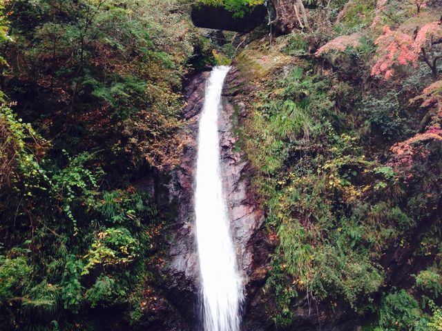 秩父華厳の滝_秩父華厳の滝