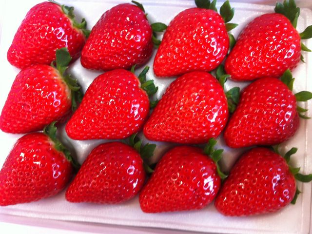 大きさにビックリしました。_お菓子の城那須ハートランド