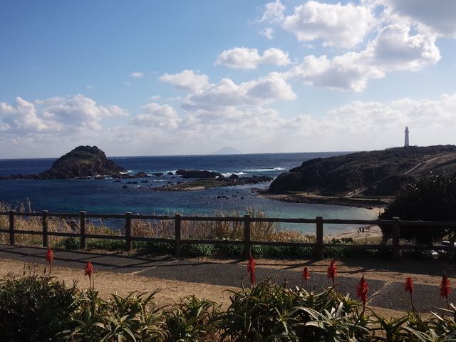 爪木崎です。灯台までのんびりお散歩できます。_爪木崎の水仙