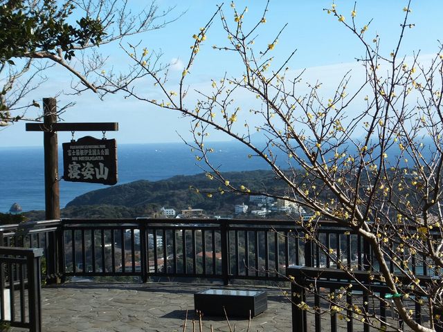 寝姿山展望台
