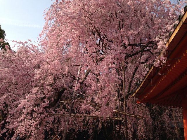 平安神宮