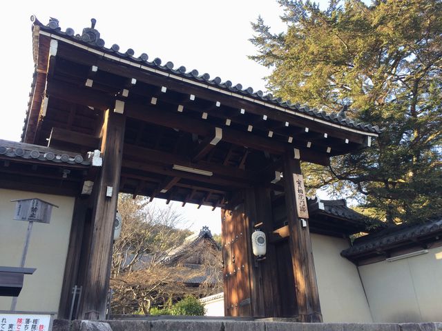 実相院門跡_実相院門跡