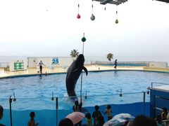 マリンワールド海の中道の写真1
