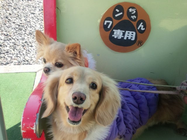 西武園ゆうえんち