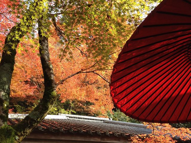 瑞宝寺公園